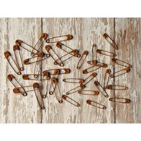 Rusty Safety Pins